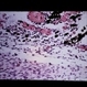 Slide 2-28