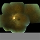 Fundus Albipunctatus OS Fundus Albipunctatus OS