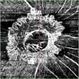 NEOVASCULARISATION OF DISC- OCT-ANGIOGRAPHY