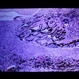 Slide 1-16