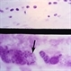 Slide 9-3
