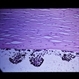 Slide 1-19