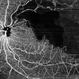 Dark Territories Dark Territories