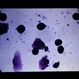 Slide 1-12