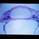 Slide 2-18