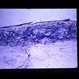 Slide 3-1