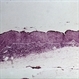 Slide 7-20