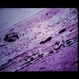 Slide 4-7