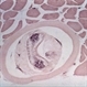 Slide 6-12