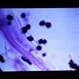 Slide 1-8