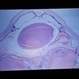 Slide 2-40