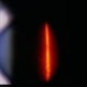 Yellow Spot Pseudo-Operculum