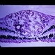 Slide 1-30