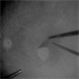 Monochrome-frame Monochrome-frame