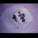 Slide 4-13