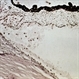 Slide 7-85