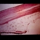 Slide 4-23