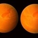 Horseshoe Tear, In Stereo Horseshoe Tear, In Stereo