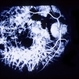 Ophthalmomyiasis