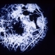 Ophthalmomyiasis
