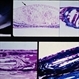 Slide 9-20 Slide 9-20
