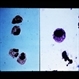 Slide 1-7
