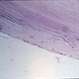 Slide 10-9