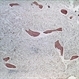 Slide 6-59