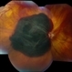 Wet AMD