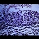 Slide 1-18