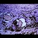 Slide 1-11