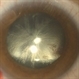 Lens Feathering Lens Feathering