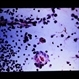 Slide 1-14