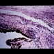 Slide 2-25