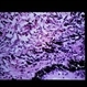 Slide 3-21