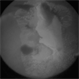 IOFA-ROP
