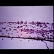 Slide 2-38