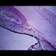 Slide 3-9