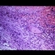 Slide 1-15