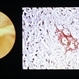 Slide 9-30