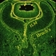 Human Embryonic Eye Human Embryonic Eye