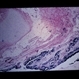 Slide 4-8