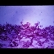 Slide 3-11