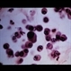 Slide 1-13