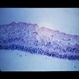 Slide 4-4