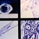 Slide 9-4