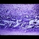 Slide 1-29